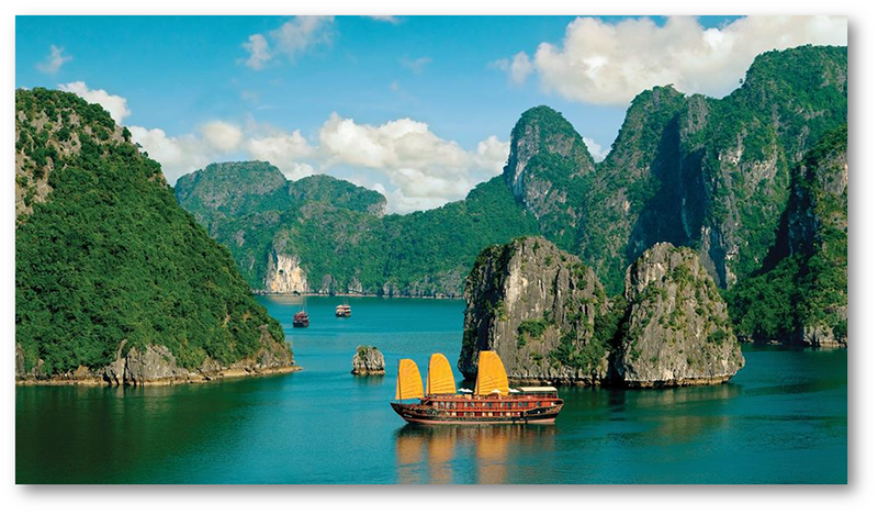 Mục đích và giá trị của chúng tôi